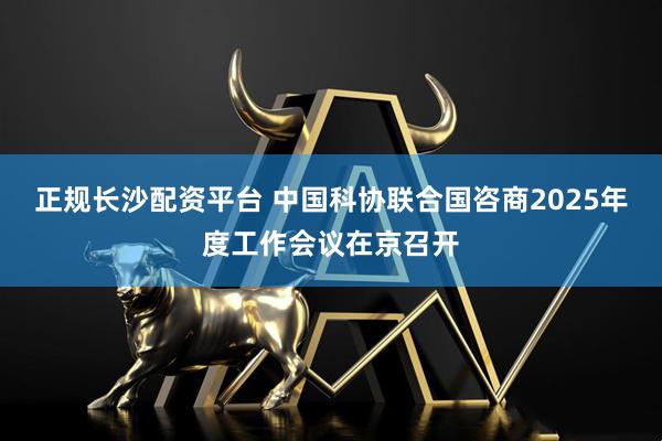正规长沙配资平台 中国科协联合国咨商2025年度工作会议在京召开